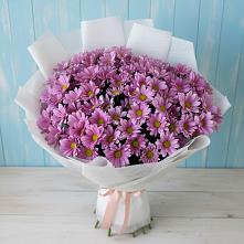 Букет цветов из:  Хризантемы в Гурзуфе Республика Крым
