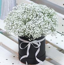 Цветочная композиция из Гипсофила в шляпной коробке #REPLACE_PRED# Гурзуфе Республика Крым