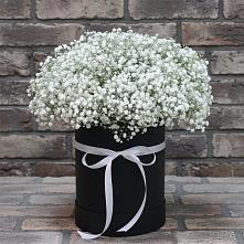 Цветочная композиция из Гипсофила в шляпной коробке в Гурзуфе Республика Крым